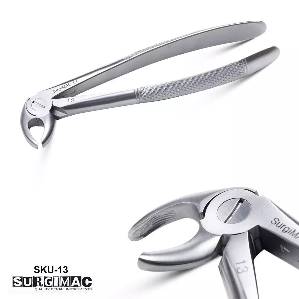 #13 lower cuspids and bicuspids English pattern extracting forceps