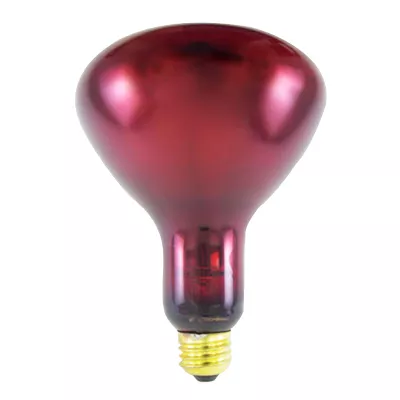 (175 watt) Ruby Bulb6/PackFabrication 18-1372