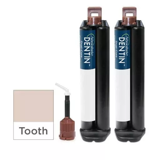 Absolute Dentin 10ml Kit (Tooth Shade)
