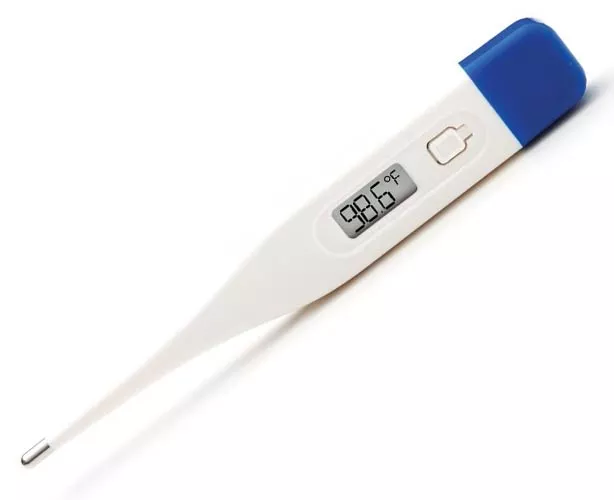 Adtemp II 413 Digital Thermometer