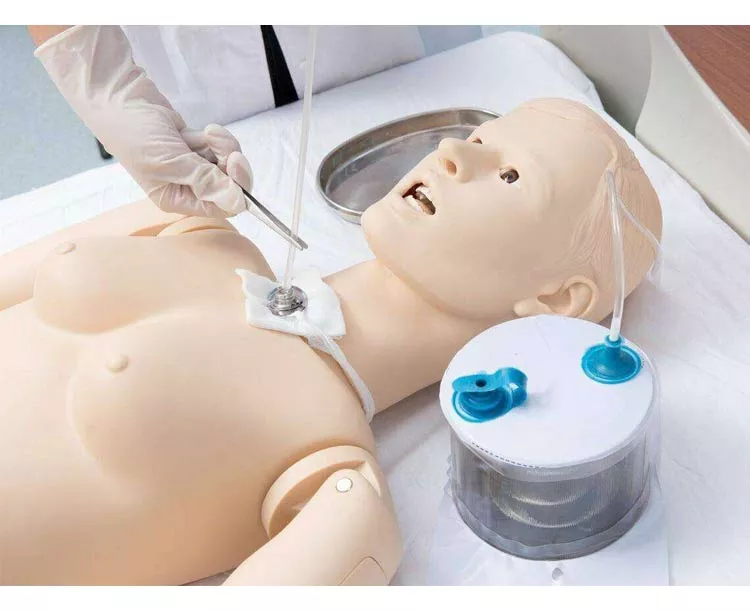 Anatomy Lab All-purpose Patient Care Simulator