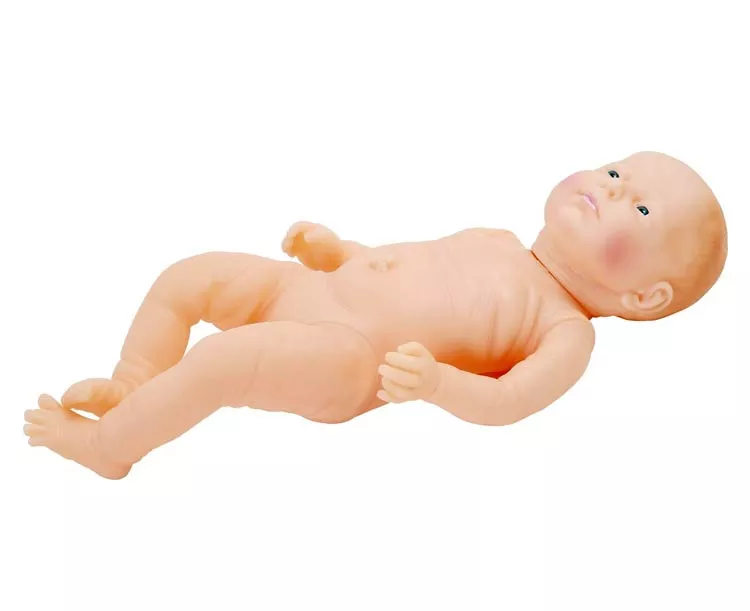 Anatomy Lab Neonatal Baby Care Manikin