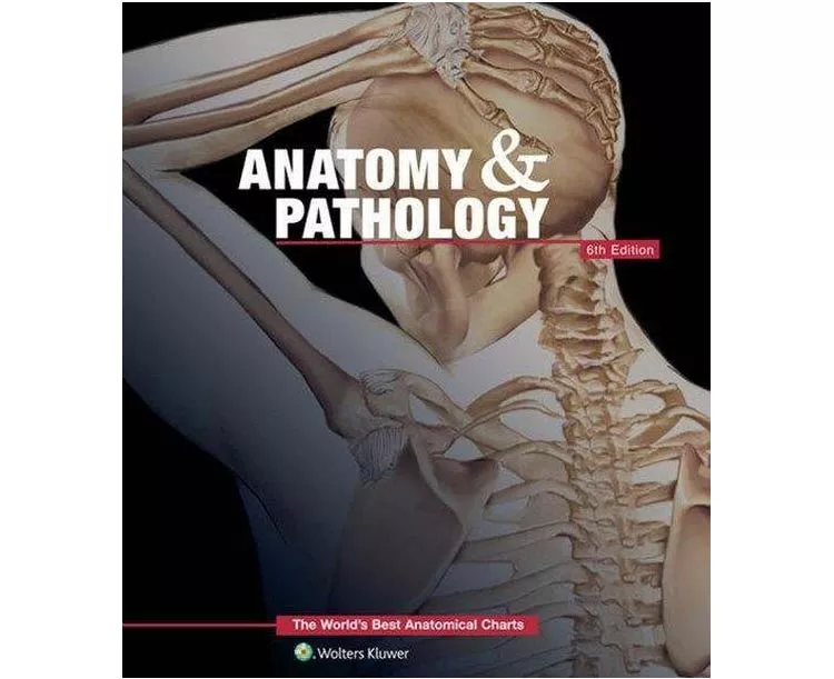 Anatomy and Pathology: The Worlds Best Anatomical Charts