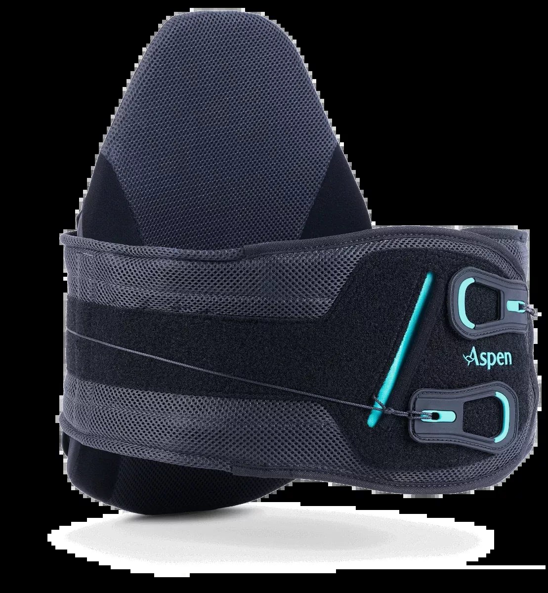 Aspen Horizon Pro 631 LSO Back Brace