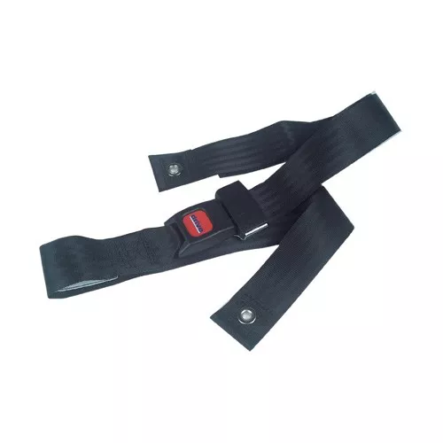 Auto Type, Seat Belt