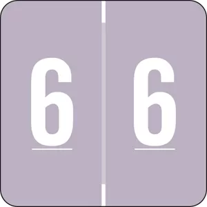 Barkley Compatible Benm Color Code Label Numeric "6" 1 1/2" X 1 1/2" Lavender Permanent - 500 Per Roll
