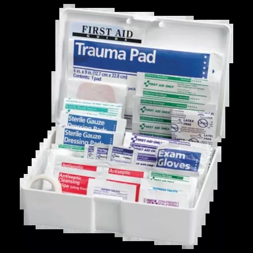 First Aid Only 81-Piece All-Purpose First Aid Kit - FAO-130