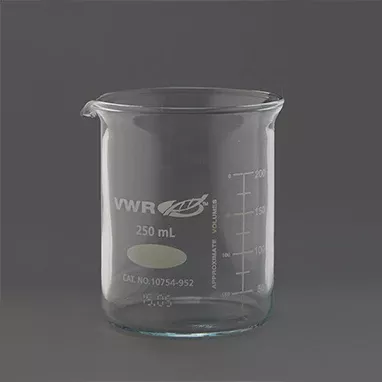 Glass Beaker, 250mL H-3026-17638