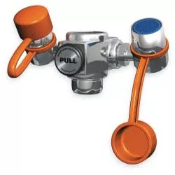 Grainger Eye Wash Station, 1/EA