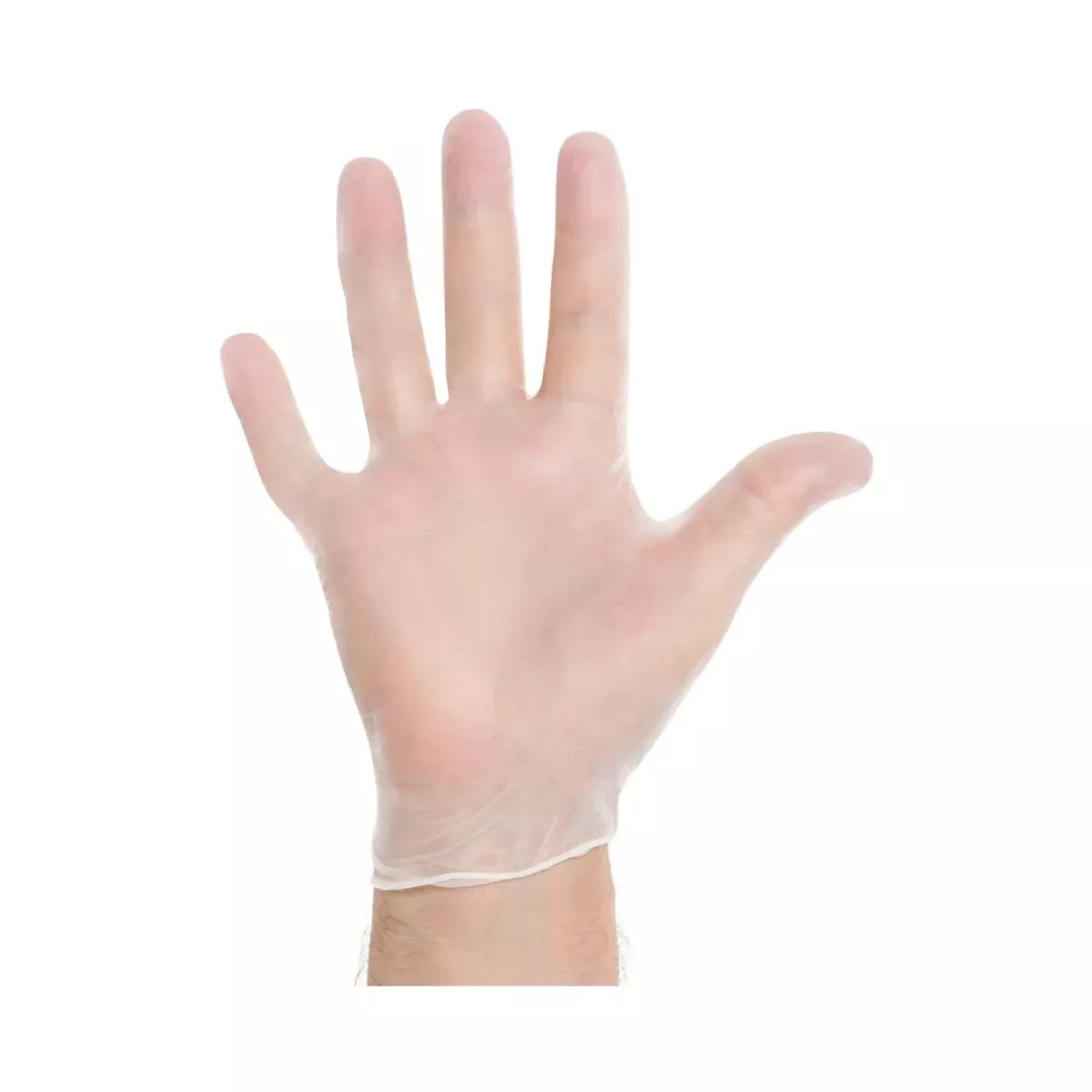 Halyard Vinyl Standard Cuff Length Exam Glove, Clear