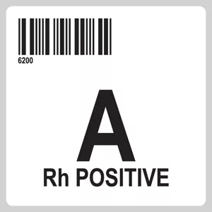 Isbt 128 Label (Synthetic, Permanent) "A Rh Positive'' 2" X 2" White - 250 Per Roll