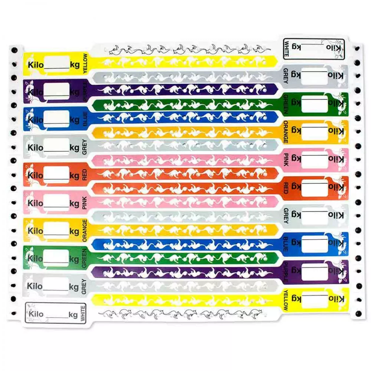 Kangaband Write-On Wristband Poly 1" X 10-1/4" Multi Color Pack 250 Per Box