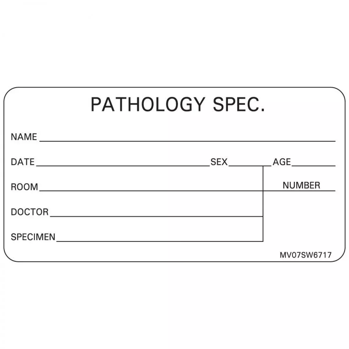 Lab Communication Label (Paper, Removable) Pathology Spec. Name 2 15/16" X 1 1/2" White - 333 Per Roll