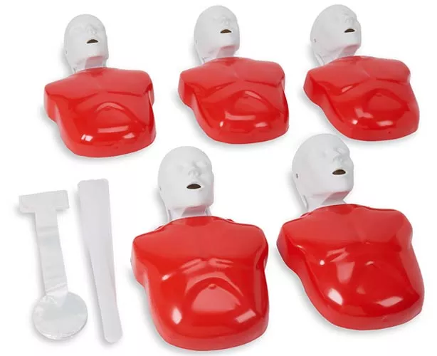 Life/Form Basic Buddy CPR Manikin 5-Pack