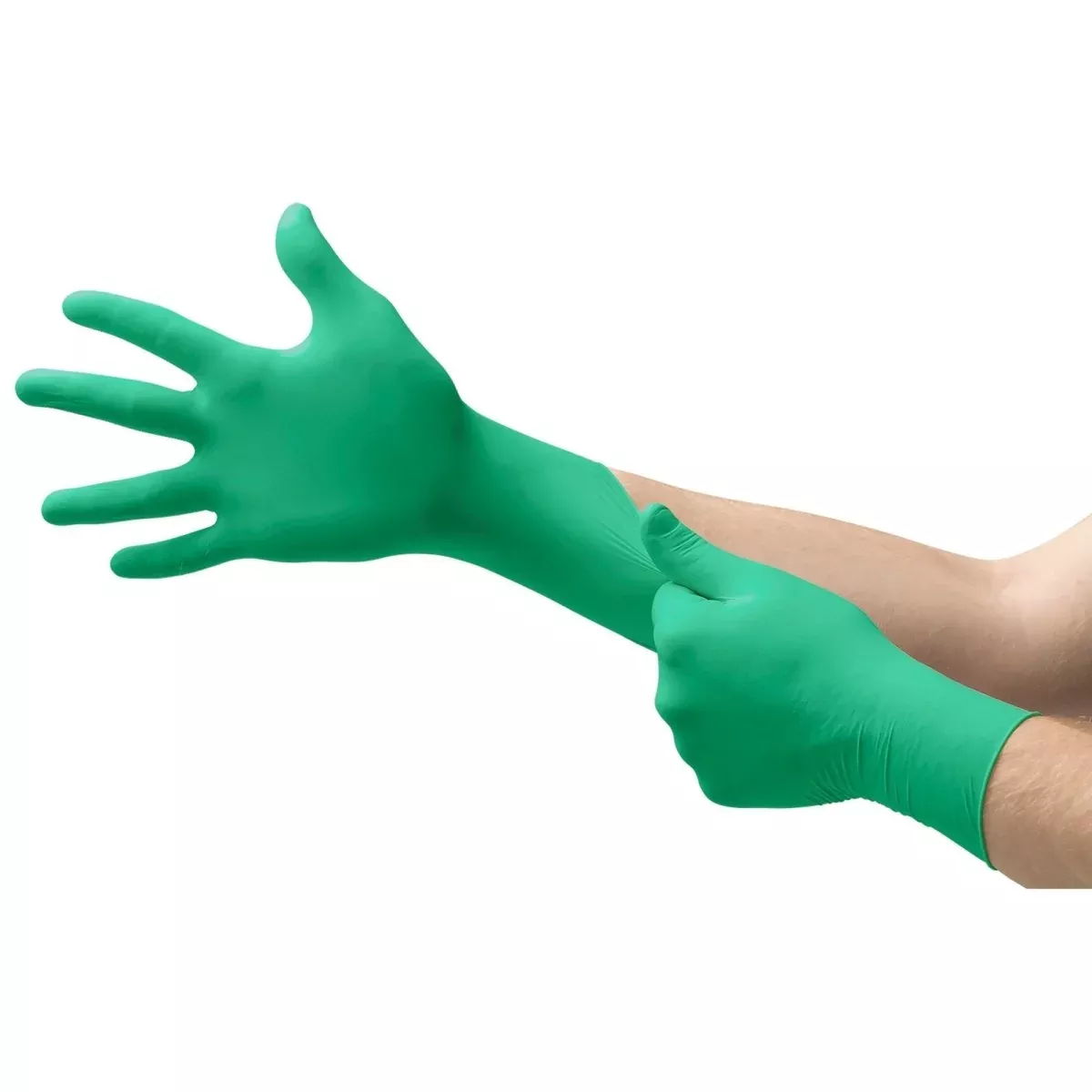 Neogard Polychloroprene Standard Cuff Length Exam Glove, Green