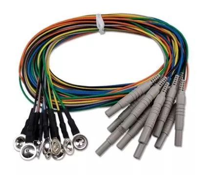 Nihon Kohden EEG Electrodes - Gold Cup, Non-Radiolucent
