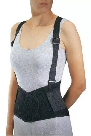 ProCare Back Support, 1/EA