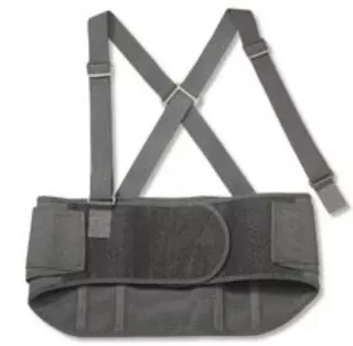 ProFlex Back Support, 1/EA