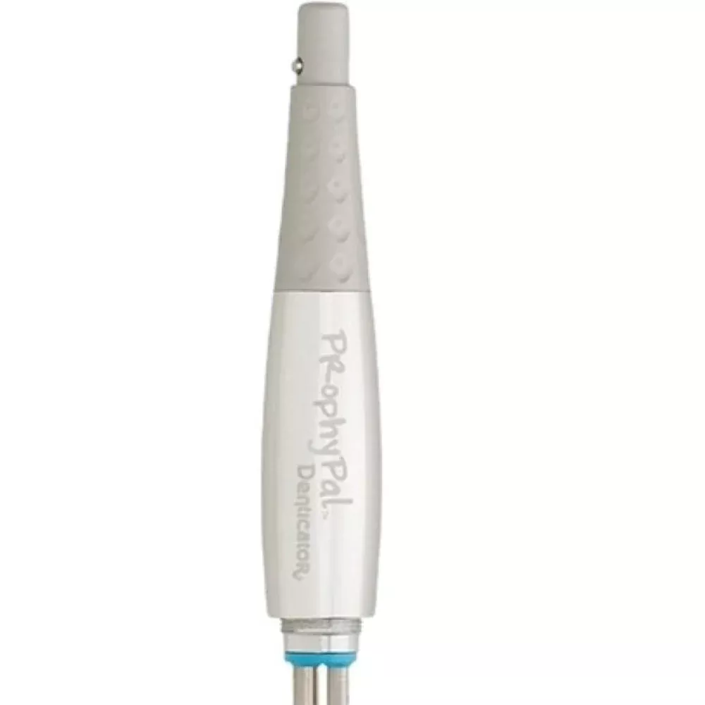 ProphyPal Hygiene Handpiece - CLASSIC SILVER Color, 1/Pk. Extended Sure-fit