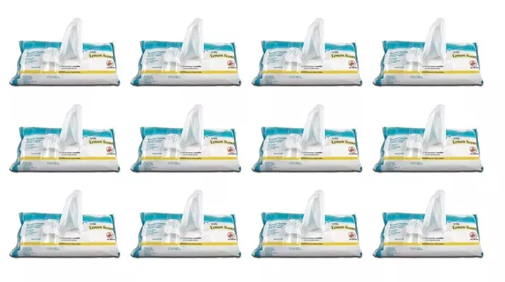 ProSpray Wipes Disinfectant, 9" x 10". Soft Pack, 72 Wipes/Pk. Non-Staining (12 Pack)