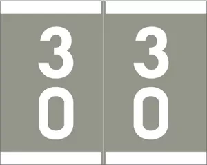 Sav-Tyme Compatible Dsfm Color Code Label Numeric "30-39" 1 1/5" X 1 3/16" Gray Permanent 500 Per Roll