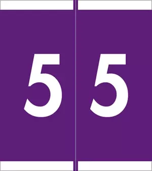 Sav-Tyme Compatible Nsfm Color Code Label Numeric "5 5" 1 1/2" X 1 11/16" Purple Permanent 500 Per Roll