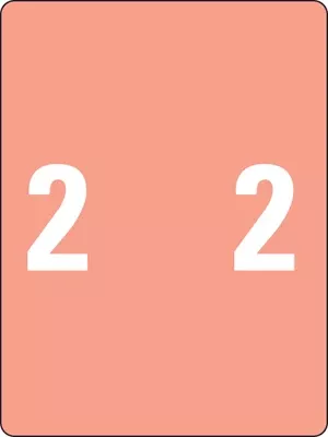 Smead Compatible Xlcc Color Code Label Numeric "2" 1 1/2" X 2" Pink Permanent 500 Per Roll