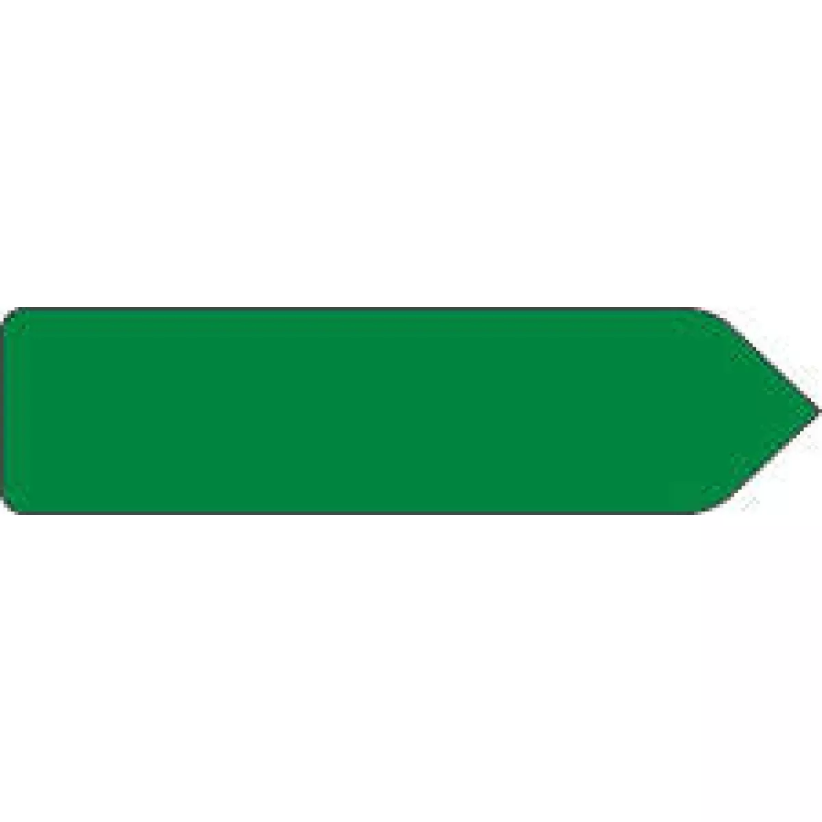 Spee-D-Point Flags & Tags Solid Dark Green Removable 9/16"X2-1/4" 150 Per Pack
