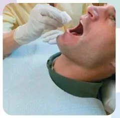 Tidi Bib