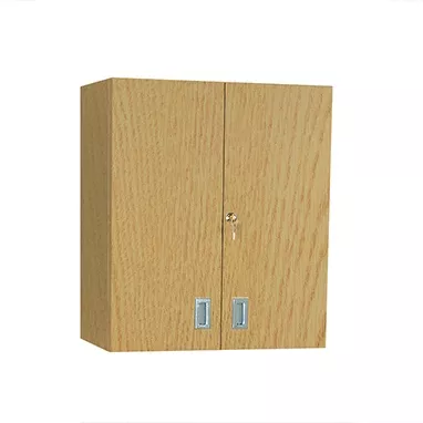 Wall Cabinet with Locking Doors, 24 Inch Wide