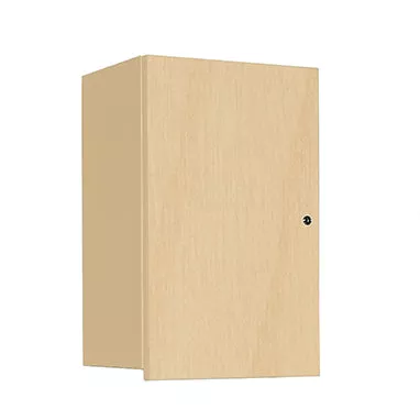Wall Cabinet with Locking Overhang Door, 18 Inch