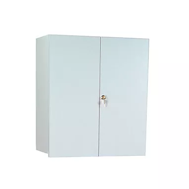 Wall Cabinet with Locking Overhang Doors, 24 Inch Wide