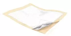 Wings Plus Underpads, Disposable, Heavy Absorbency, 23 x 36 Inch
